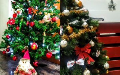 Il Natale è solidarietà e speranza …